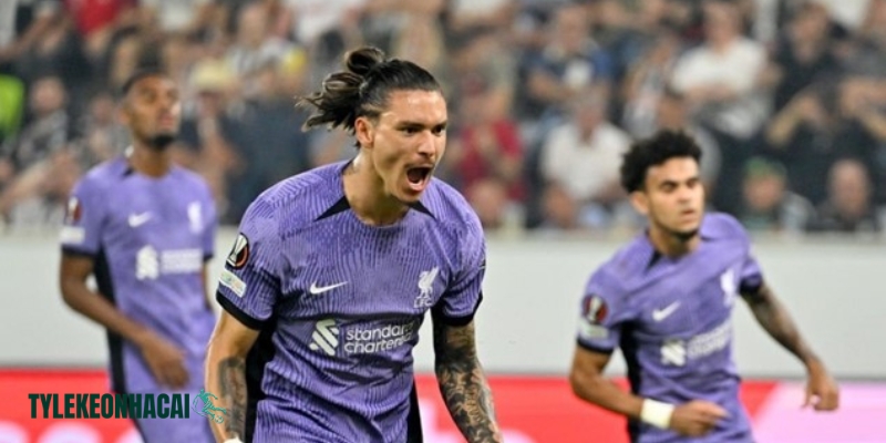 Giải đấu cúp C2 châu Âu: Một giải đấu danh giá thứ hai ở châu Âu Giải đấu cúp C2 châu Âu: Một giải đấu danh giá thứ hai ở châu Âu