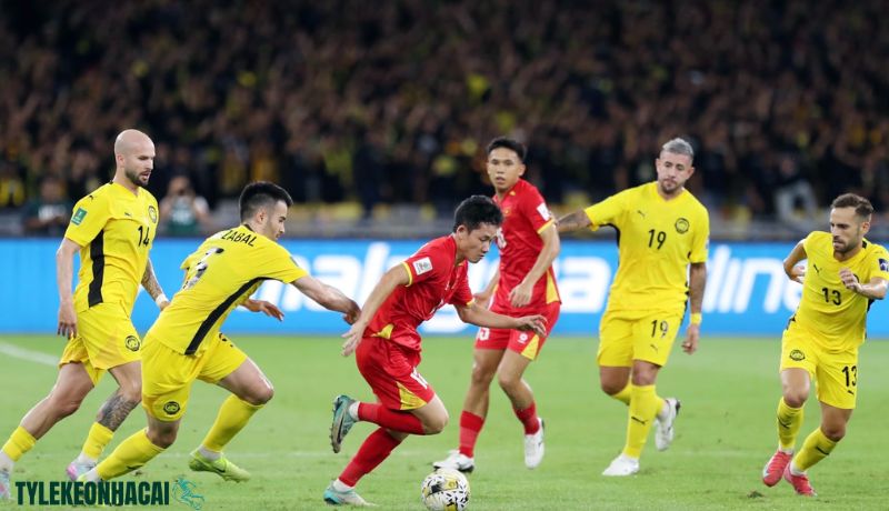 Kèo Asian Cup đặc trưng như thế nào? Kèo Asian Cup đặc trưng như thế nào?