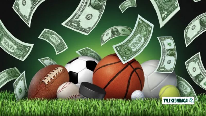 Đừng xem cá cược là kênh đầu tư sinh lời Đừng xem cá cược là kênh đầu tư sinh lời