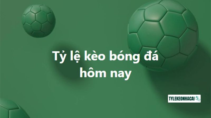 Giới thiệu Tylekeonhacai là gì?