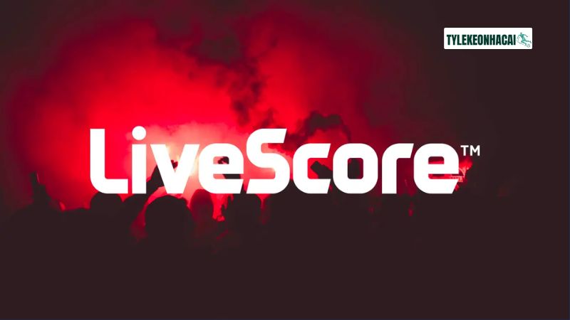 Hệ thống tính năng của nền tảng Tỷ Lệ Kèo Nhà Cái