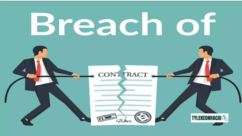 Nền tảng được miễn trừ trách nhiệm trong một số trường hợp