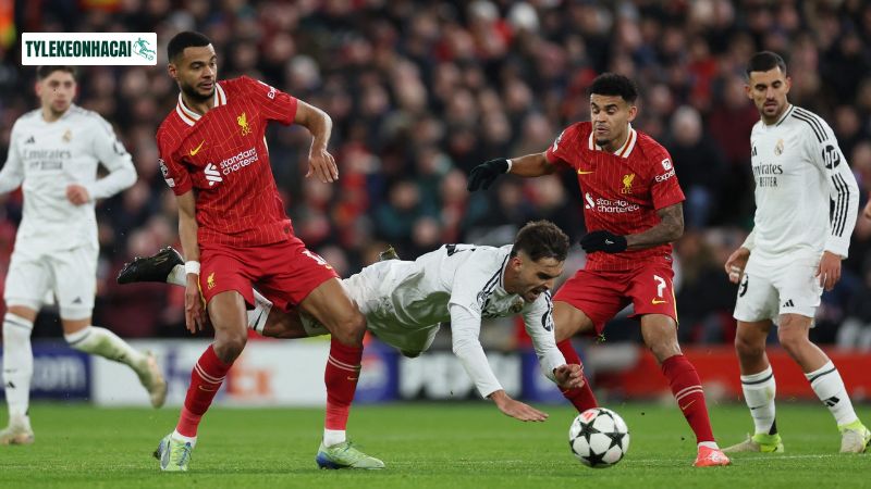 Tìm hiểu thuật ngữ BXH bóng đá Tìm hiểu thuật ngữ BXH bóng đá