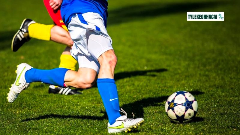 Tin tức bóng đá hấp dẫn