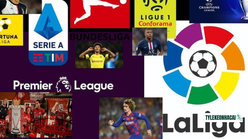 Trang kênh cập nhật mọi BXH của các giải đấu hot hit Trang kênh cập nhật mọi BXH của các giải đấu hot hit