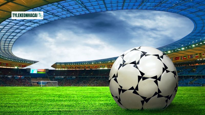 Trang kênh nhận định nhiều giải đấu bóng đá toàn cầu