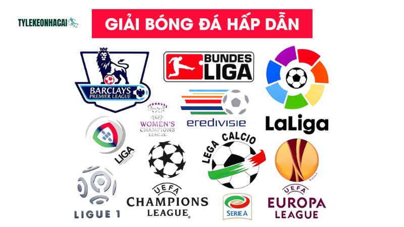 Trang kênh mang đến hệ sinh thái thông tin toàn diện Trang kênh mang đến hệ sinh thái thông tin toàn diện