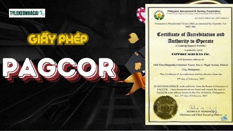 Ưu điểm của ZOWIN