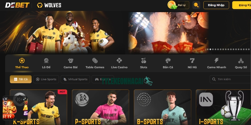 DEBET là một trong những nhà cái lớn mạnh bậc nhất hiện nay