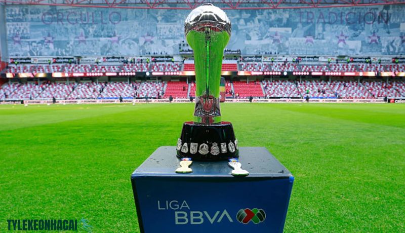Kinh nghiệm soi kèo Liga MX hiệu quả Kinh nghiệm soi kèo Liga MX hiệu quả