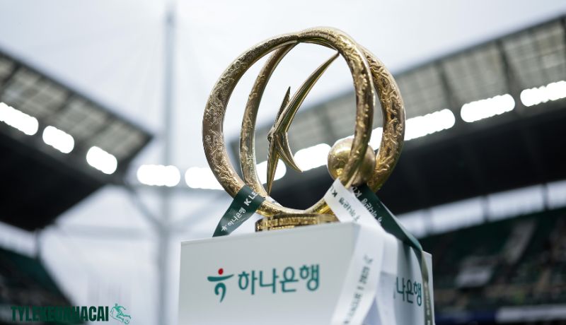 Về giải đấu VĐQG Hàn Quốc Về giải đấu VĐQG Hàn Quốc