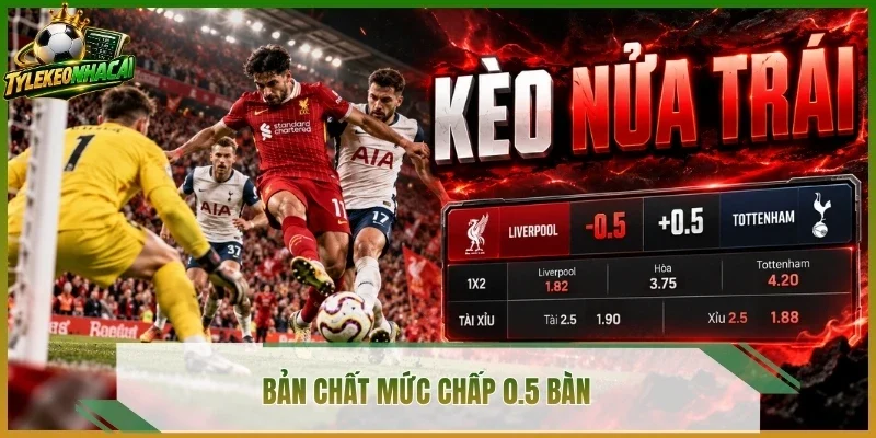 Bản chất mức chấp 0.5 bàn