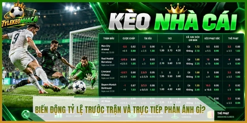 Biến động tỷ lệ trước trận và trực tiếp phản ánh gì?