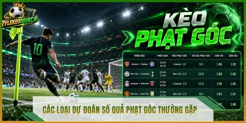 Các loại dự đoán số quả phạt góc thường gặp