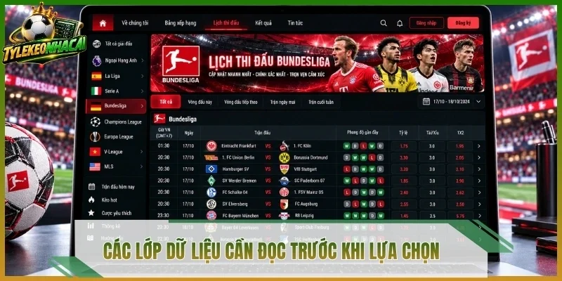 Các lớp dữ liệu cần đọc trước khi lựa chọn 