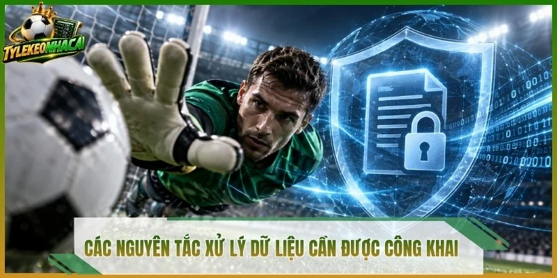 Các nguyên tắc xử lý dữ liệu cần được công khai 