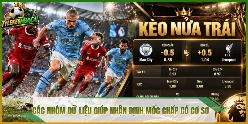 Các nhóm dữ liệu giúp nhận định mốc chấp có cơ sở