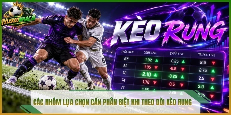 Các nhóm lựa chọn cần phân biệt khi theo dõi kèo rung
