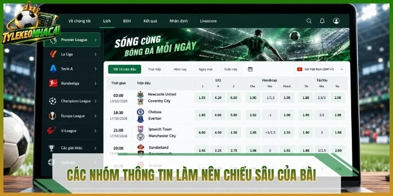 Các nhóm thông tin làm nên chiều sâu của bài