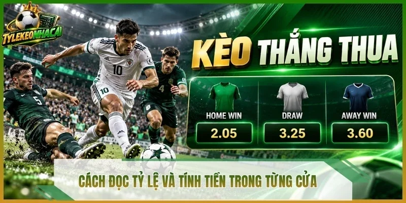 Cách đọc tỷ lệ và tính tiền trong từng cửa