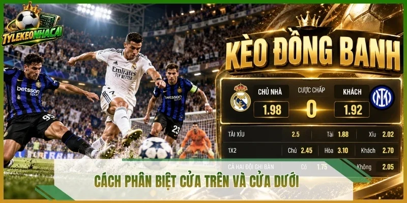 Cách phân biệt cửa trên và cửa dưới