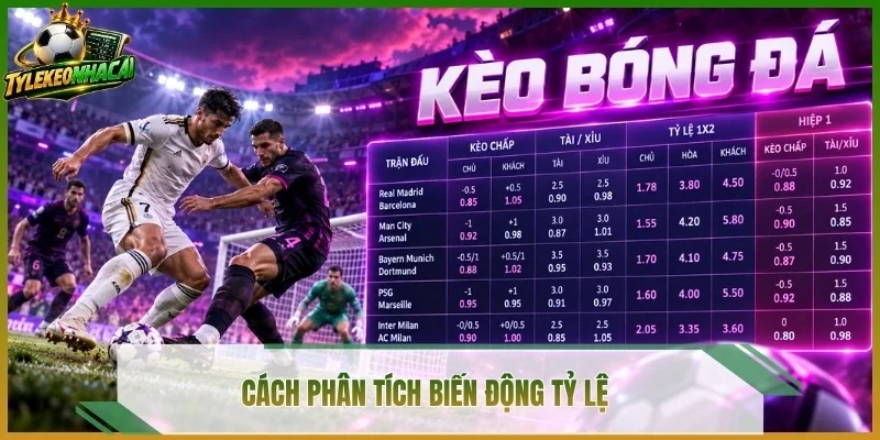Cách phân tích biến động tỷ lệ 