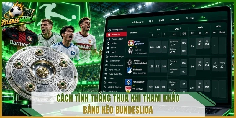 Cách tính thắng thua khi tham khảo bảng kèo Bundesliga
