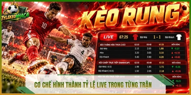 Cơ chế hình thành tỷ lệ live trong từng trận