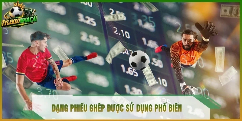 Dạng phiếu ghép được sử dụng phổ biến 