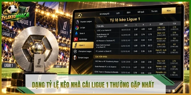 Dạng tỷ lệ kèo nhà cái Ligue 1 thường gặp nhất