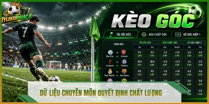 Dữ liệu chuyên môn quyết định chất lượng