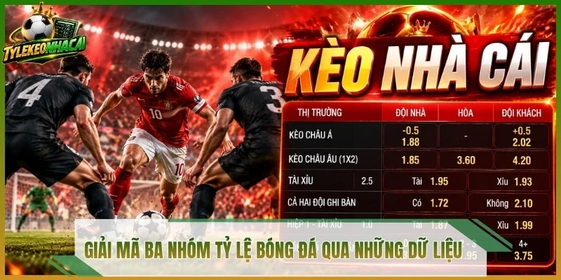 Giải mã ba nhóm tỷ lệ bóng đá qua những dữ liệu 