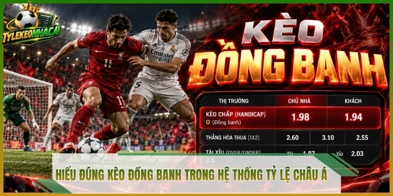 Hiểu đúng kèo đồng banh trong hệ thống tỷ lệ châu Á