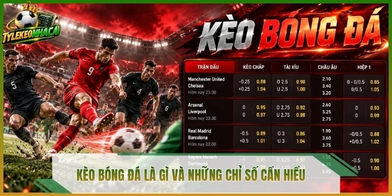 Kèo bóng đá là gì và những chỉ số cần hiểu 
