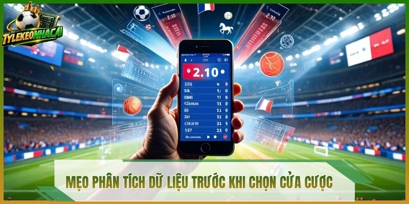 Mẹo phân tích dữ liệu trước khi chọn cửa cược