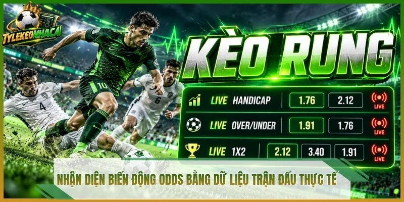 Nhận diện biến động odds bằng dữ liệu trận đấu thực tế