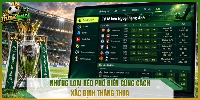 Những loại kèo phổ biến cùng cách xác định thắng thua