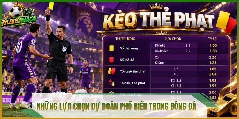 Những lựa chọn dự đoán phổ biến trong bóng đá