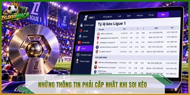 Những thông tin phải cập nhật khi soi kèo