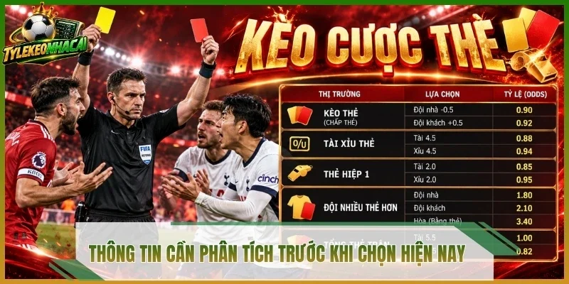 Thông tin cần phân tích trước khi chọn hiện nay