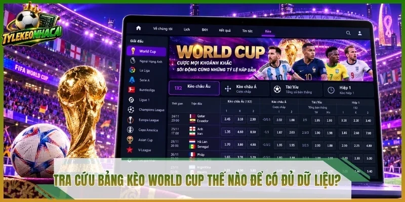 Tra cứu bảng kèo World Cup thế nào để có đủ dữ liệu?